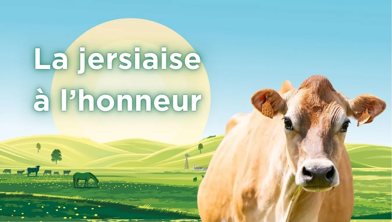 Jersiaise