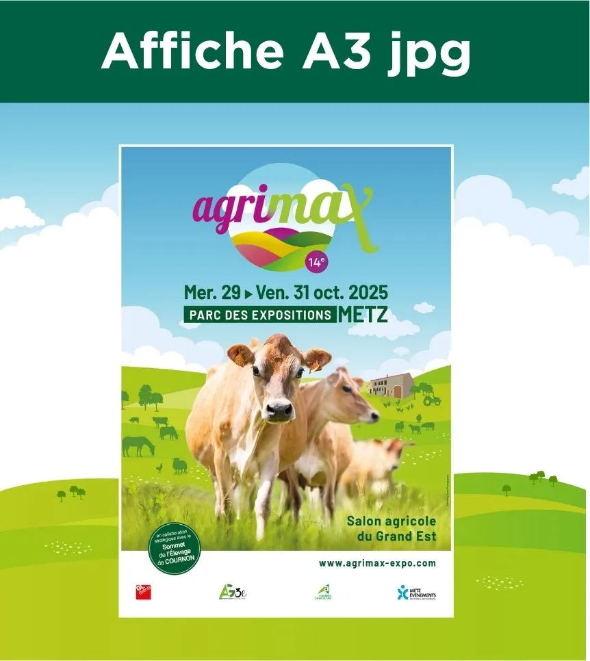 a3