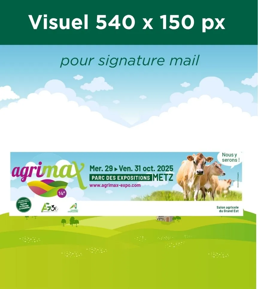 Signature mail 