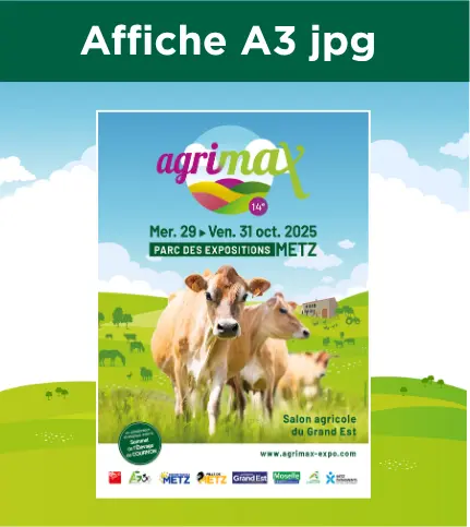 a3 jpg