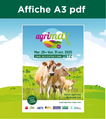 Affiche A3 pdf