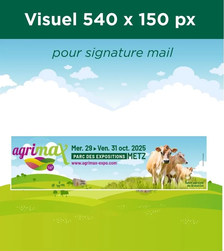 Visuel signature mail