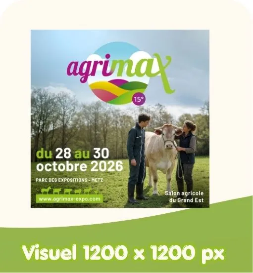 Visuel 1200 x 1200
