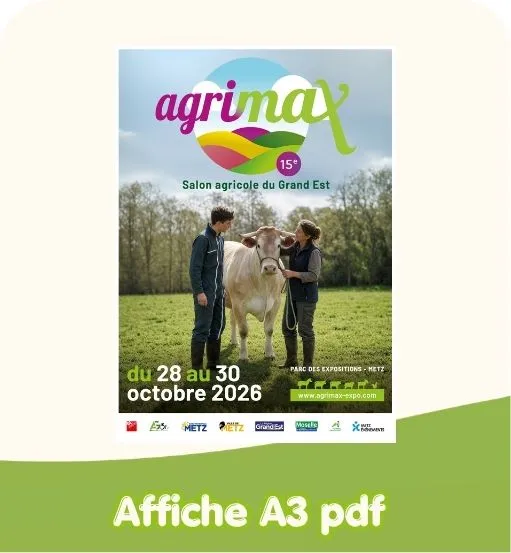 Affiche A3 pdf