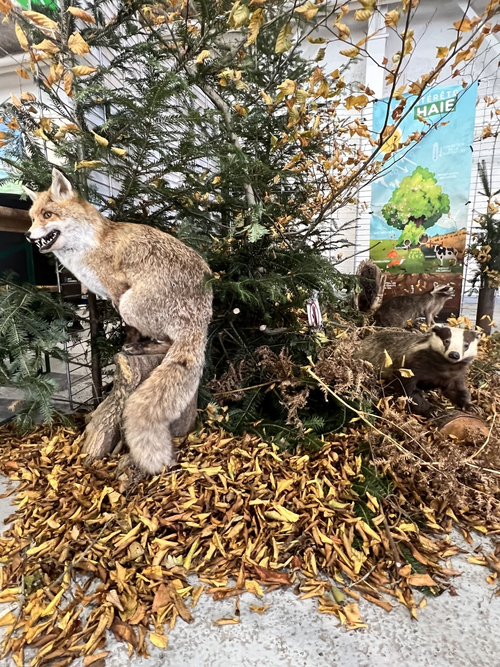 Agrimax stand chasse 2