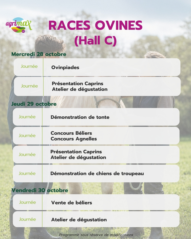 Programme ovins