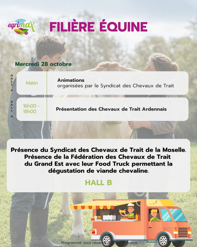 Programme équins
